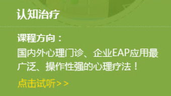 心理咨询实务技能系列课程 技术咨询的精髓与应用